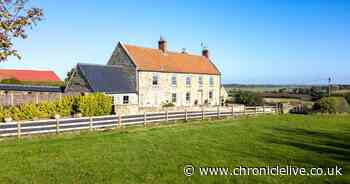 Stunning six-bedroom Northumberland farmhouse 'perfect' for equestrian enthusiasts for sale
