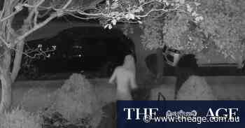 Boy charged over violent home invasions told police he wanted to decapitate people, court hears