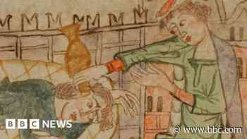 Crushed weasel testicles and other medieval cures