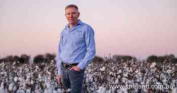 DIY weedseeker tech among 'gamechanger' technology for cropping operations