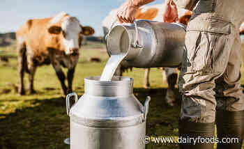 The dairy industry’s supply and demand outlook