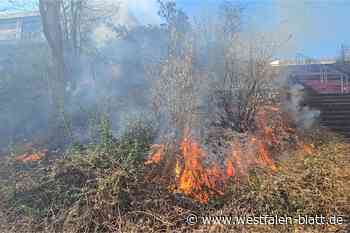 Höxter: Wehr löscht Vegetationsbrand