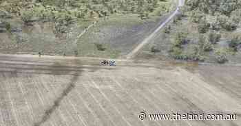 Cricket score rainfalls set North West croppers for a bonza winter crop