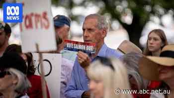 Bob Brown Foundation launches legal challenge against PM's 'rushed' salmon bill