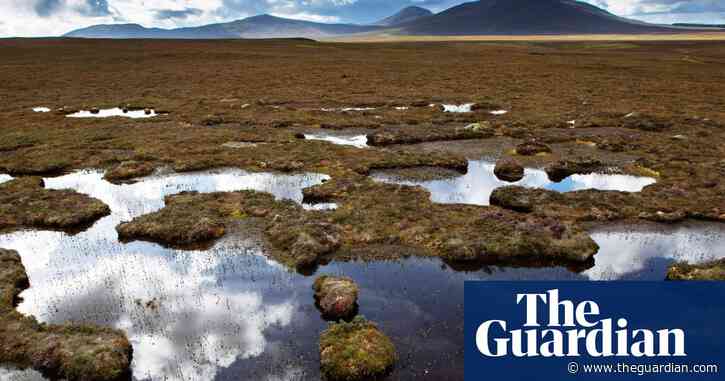 Peatland burning ban aims to protect wildlife and England’s carbon stores