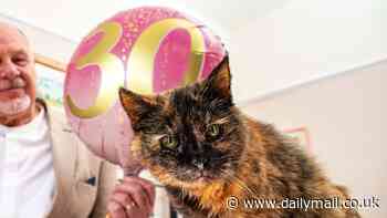 How old your cat REALLY is: Calculator reveals your kitty's 'true age' - as the world's oldest feline celebrates her 30th birthday