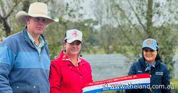 Trying conditions at Glen Innes weaner sale doesn't dampen buyer enthusiasm