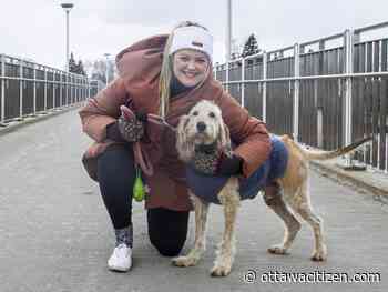 Citizen voter:  How do you mark you ballot when no one quite fits the bill?