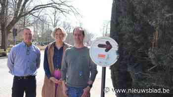 Beerse lanceert nieuw parcours voor fietsexamen: “Wennen aan het verkeer”