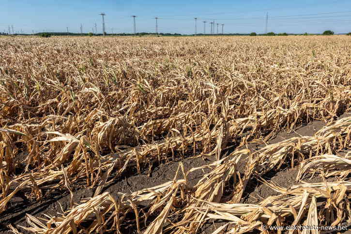 Warum Klimaschutz für die Wirtschaft wichtig ist