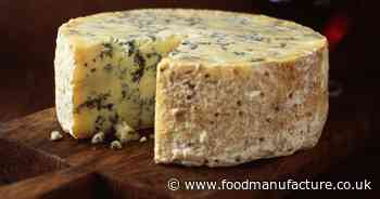 E.coli sparks recall by cheese manufacturer