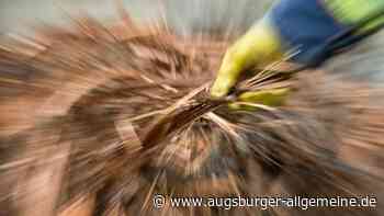 Kupferdiebe in Walleshausen und Petzenhausen