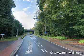 Ree overleeft aanrijding door auto niet