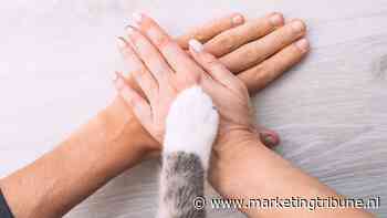 QS Group kiest voor nieuwe merkstrategie