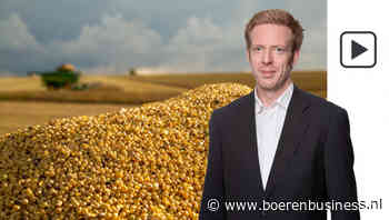 Tarwe trekt zich meer aan van het weer dan soja