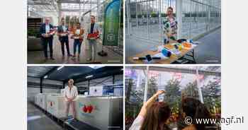 Nieuwe onderzoeksserres Proefcentrum Hoogstraten geopend