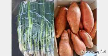 "Extreem weer in Egypte treft export bosuien en zoete aardappelen"