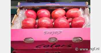 Grote vraag naar Zuid-Afrikaanse granaatappelen