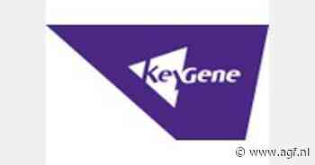 Eerste aardappelras met 'huid-transplantatie' krijgt kwekersrecht