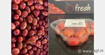 "Export Marokkaanse cherrytomaten zal eerste week april aantrekken"