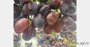 "De vraag naar appelen is in deze periode van het jaar altijd groter dan het aanbod"