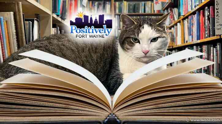 The emotional tale of Hyde Brothers Booksellers