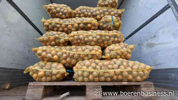 Uienexportseizoen beste op 2021 na