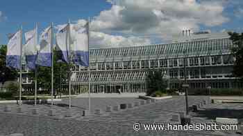 Versicherung: Trotz schwieriger Bedingungen: R+V verkündet Rekordgewinn und will weiter wachsen