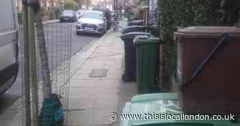 Missed bin collections 'trashing our neighbourhood', doctor says