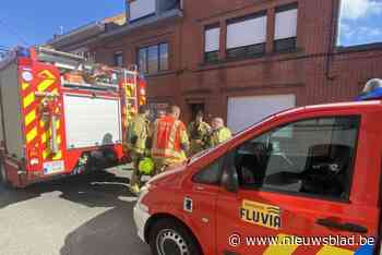 Brandweer kan afvalbrandje snel blussen
