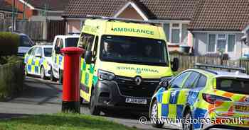 Heavy police presence on residential street