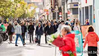 Mechelaar (24) staat terecht voor poging tot doodslag in Bruul: “Hij reed met zijn auto tegen hoge snelheid achteruit en heeft de fietser bewust aangereden”