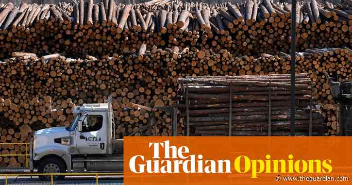 Logging is quietly ravaging US forests. Trump is taking an axe to protections