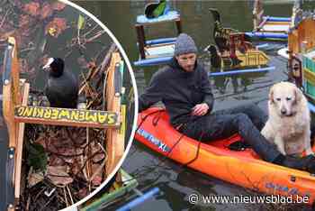 Kunstenaar Jaron (28) werkt samen met meerkoeten: “Ze dragen bij aan oplossing van het afvalprobleem”