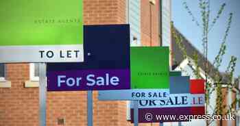 Young Brits swap housing deposits for wellness retreats and crypto investments