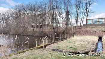 Dan toch geen zwemvijver als alternatief voor Genks zwembad, Genkenaars kunnen wel goedkoper zwemmen in Hasselt