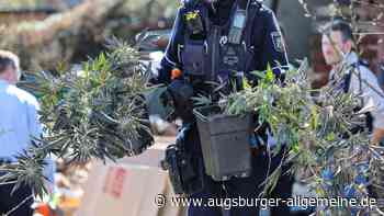 Wird Kiffen wieder illegal?