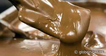 Saskatchewan chocolatier tempers the impacts of cocoa prices