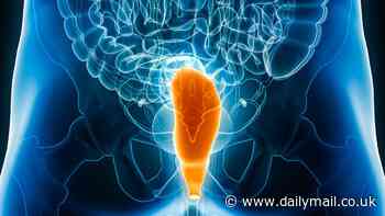 Shocking evolution of the human anus REVEALED