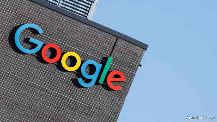 Nonprofits get $10 million grant from Google to expand AI