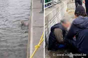 Hateem (18) redt samen met andere moskeebezoeker oudere vrouw uit Dender: “Ik heb gedaan wat ik moest doen”