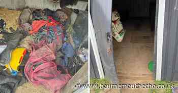 Investigations continue after thieves steal thousands in equine equipment