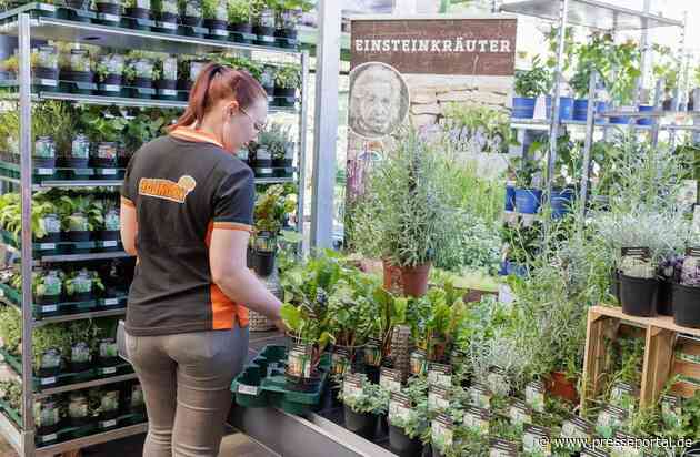 Globus Baumarkt setzt auf Mehrweg-Pflanzentrays für weniger Kunststoffabfall