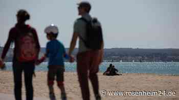 Blaue Überraschung: Strände auf Mallorca voller Quallen