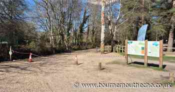 Country park restricting visitors after large blaze in woodland