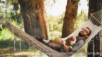 Mit 30, 40 oder 50 in Rente? Profi verrät: So schaffen Sie das