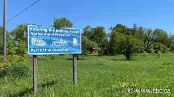 Former Ford aide broke lobbying rules for Greenbelt: integrity commissioner