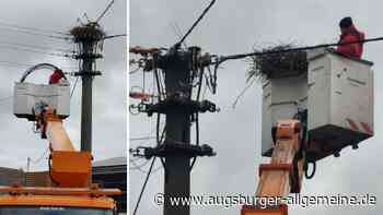 Aufregung um abmontiertes Storchennest in Roth: Die Gründe verblüffen