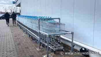 Waarom er meer rattenvallen worden geplaatst aan Hasseltweg en in Termien: “Een terugkerend fenomeen”