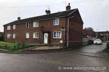 Woman washed knife in sink after 'stabbing partner to death'